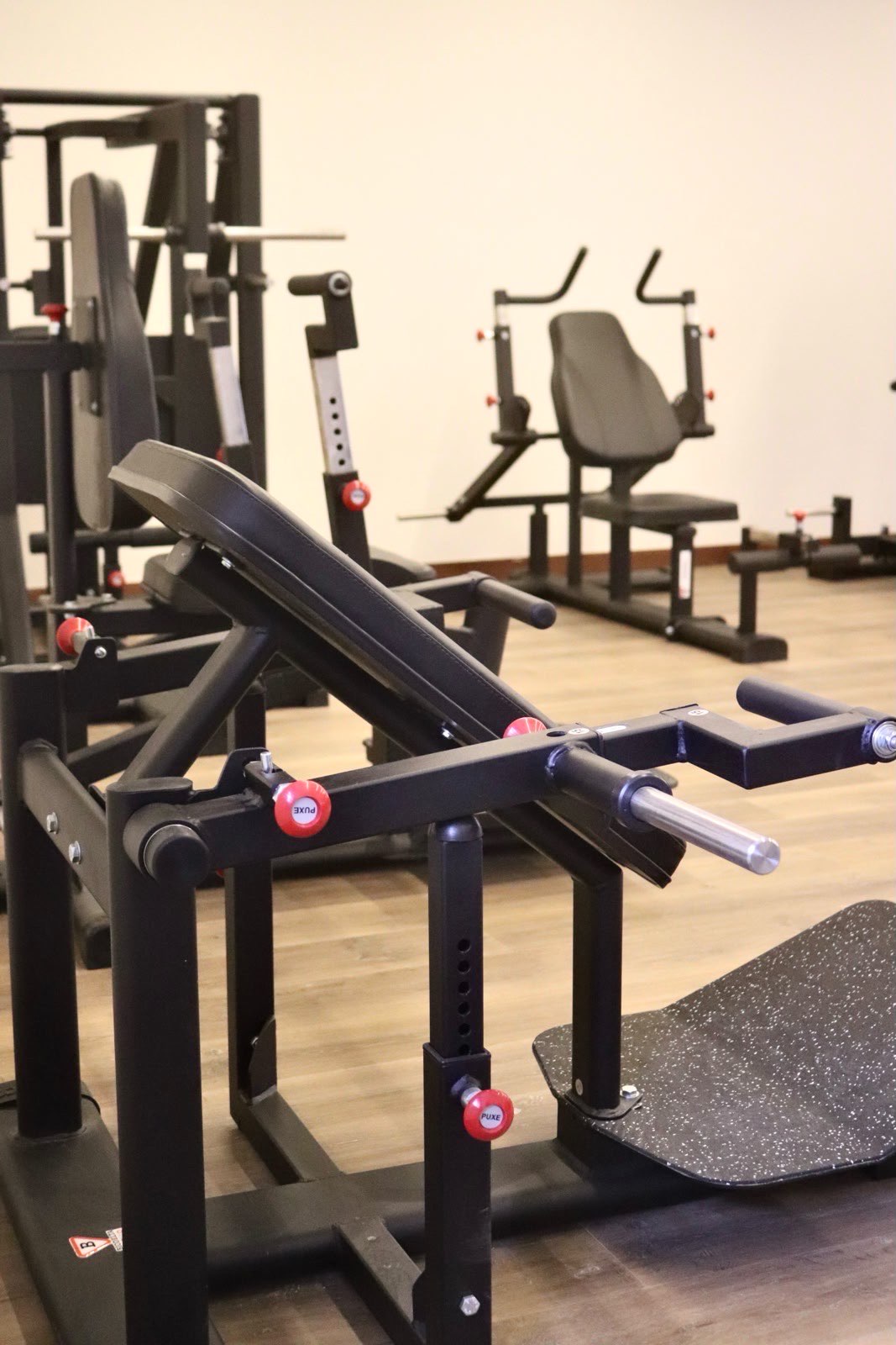 Musculação